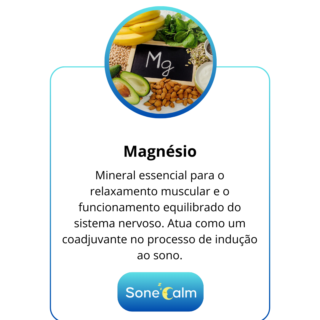 BASE INGREDIENTES (6)